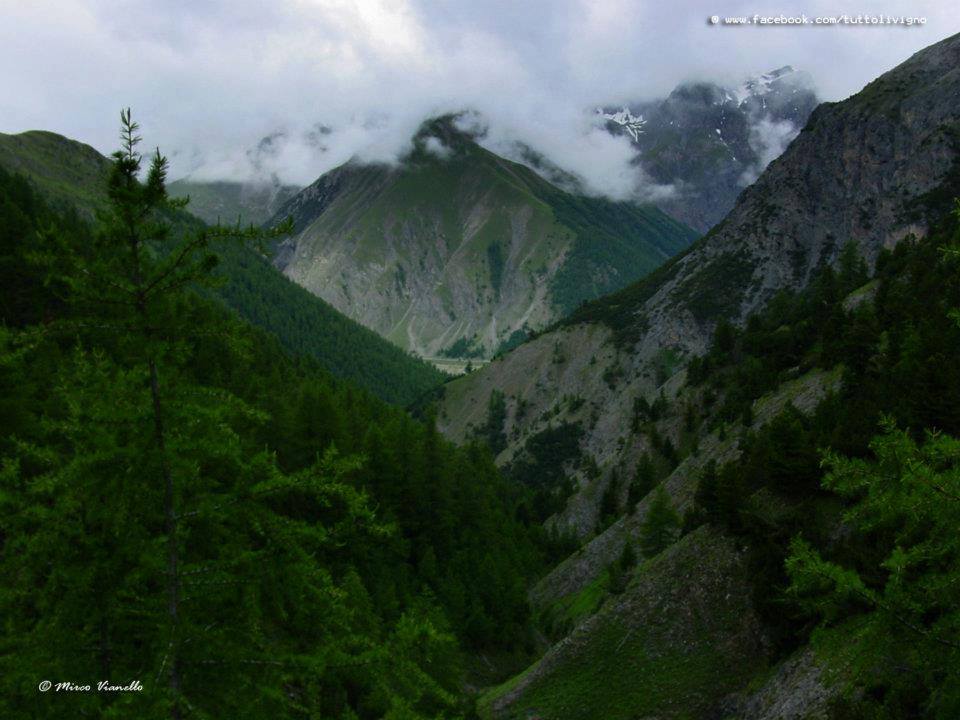 gita valle alpisella Livigno 