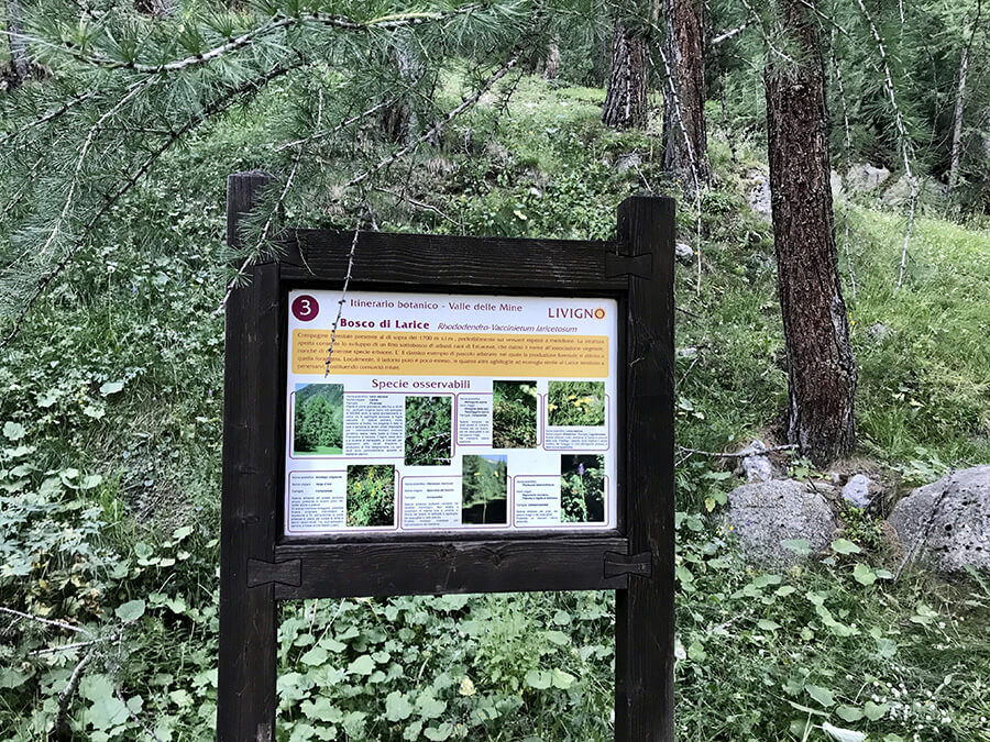  Cartello Itinerario Botanico