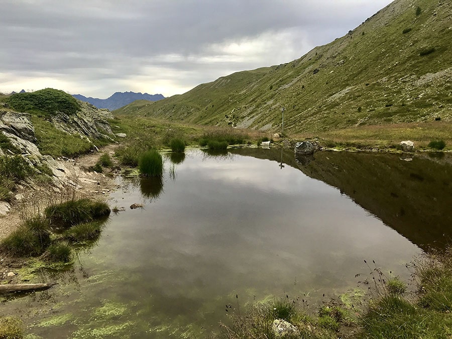 Uno stagno lungo il sentiero