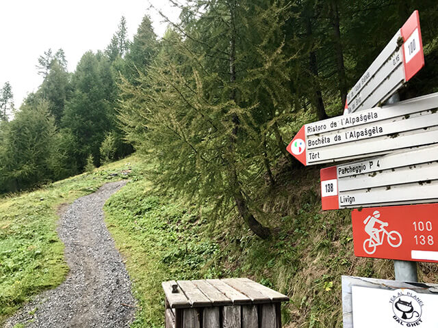 cartelli segnaletici  