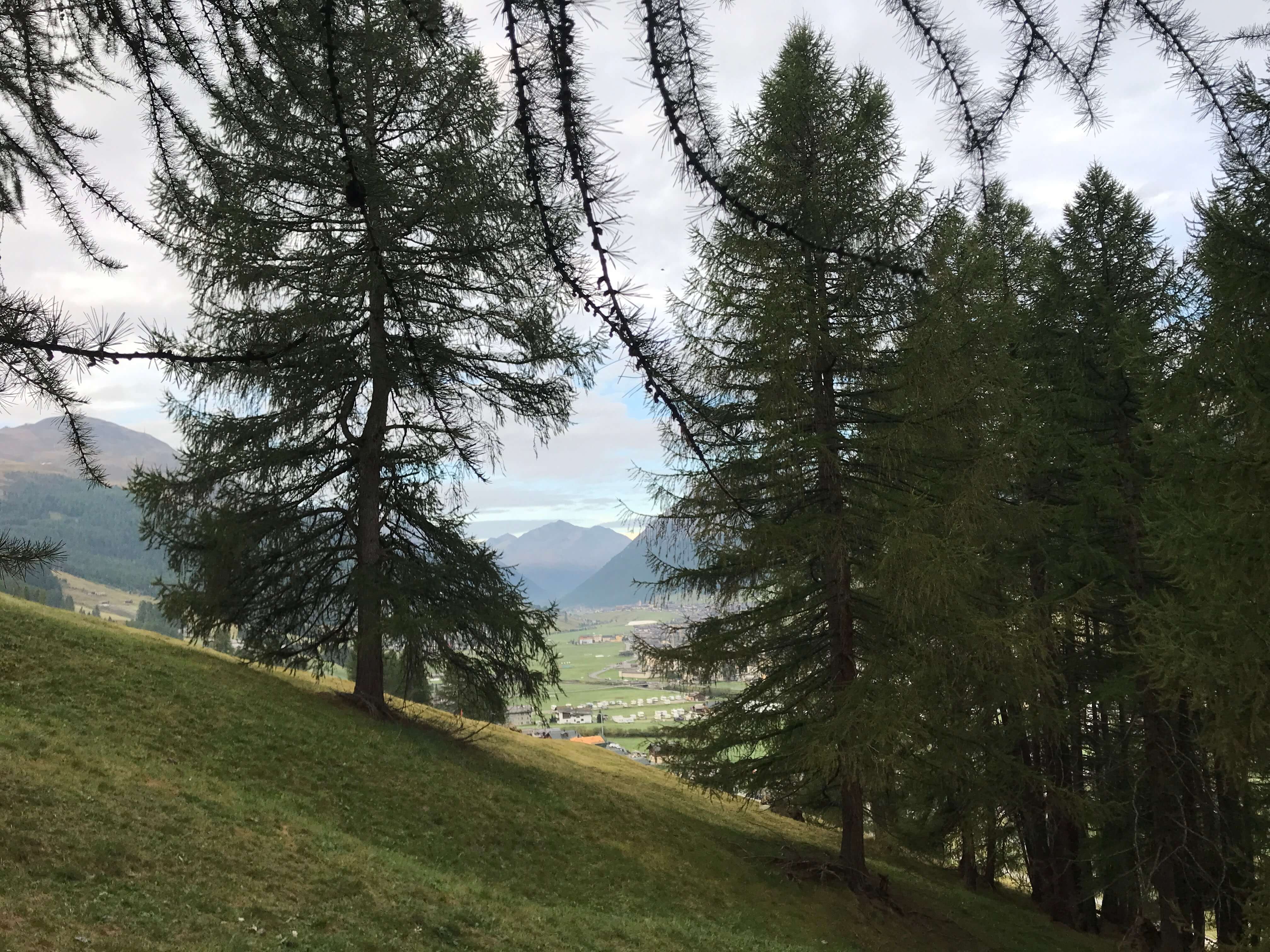 Panorama verso la Valle di Livigno  