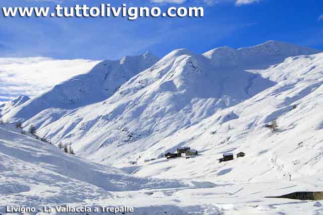  La vallaccia a Trepalle in inverno