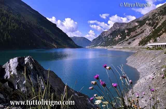 Livigno - Valle del gallo dalla Diga