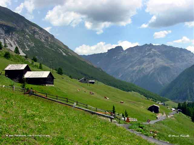 Livigno - Val federia estate