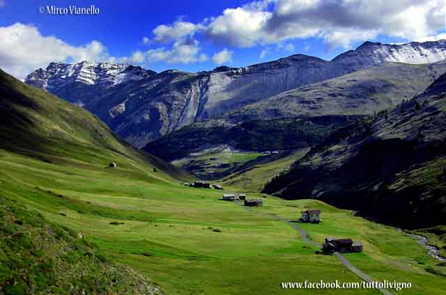 Trepalle - La vallaccia