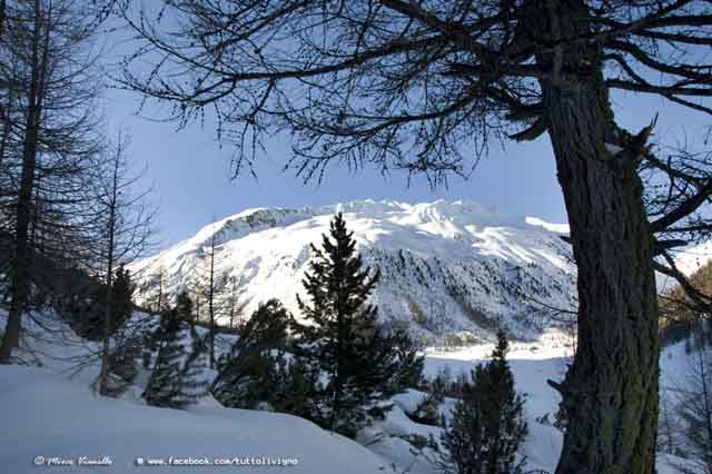 Livigno - Valle del Vago