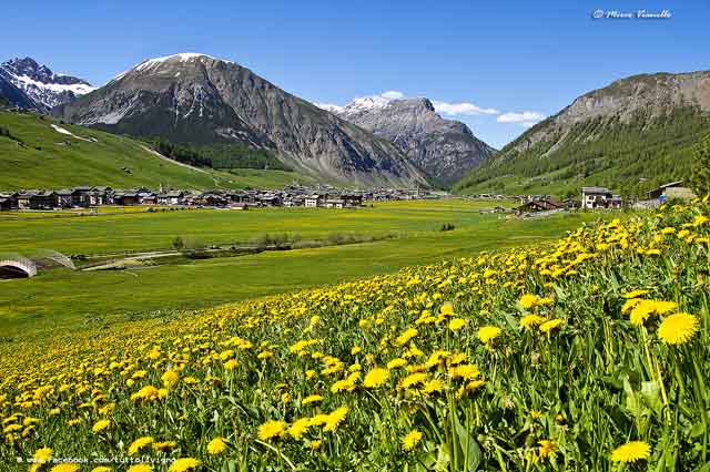 Panorama di Livigno a primavera