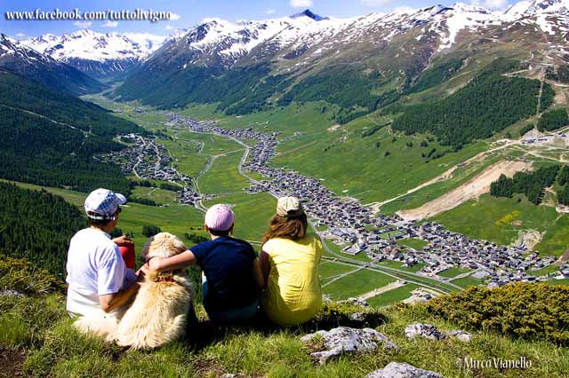 panorama di Livigno dalla Par