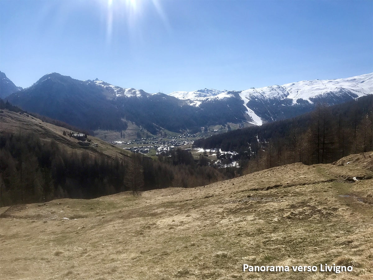 panorama dal sentiero 175 guardando verso Livigno 