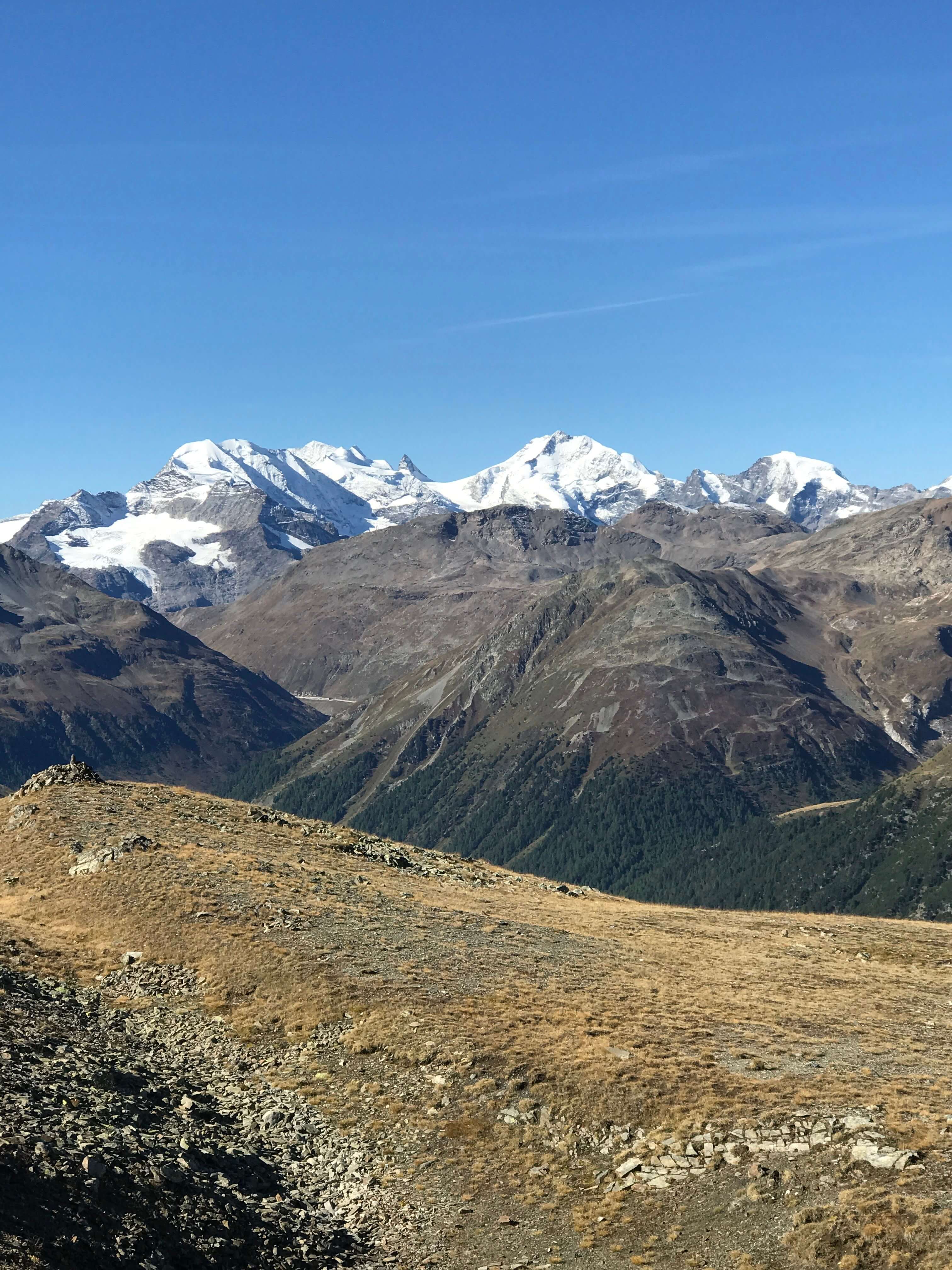 Vista ravvicinata sul Gruppo del Bernina 