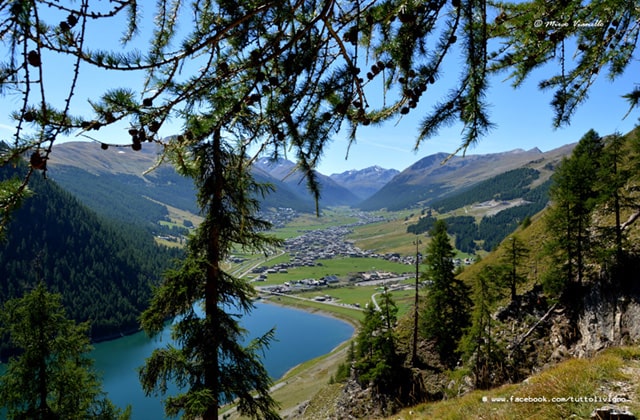 panorama di Livigno dal bosco del Motto