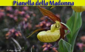 Pianella della Madonna