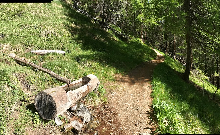 Il sentiero dopo la segnaletica è tutto nel bosco