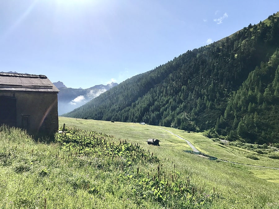 Val Federia - uno scorcio guardando verso la strada principale 