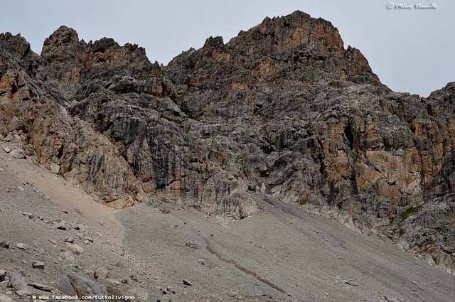 Livigno - Territorio - Cima Saliente - patria dello stambecco Livigno - Territorio - animali - rocciose cime ( Cima saliente)