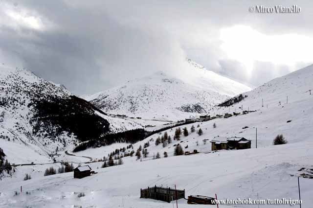 Trepalle vista da sotto