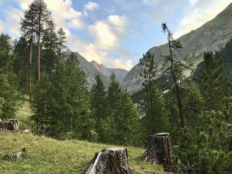 vista verso Salient  - sentiero 175 Livigno 