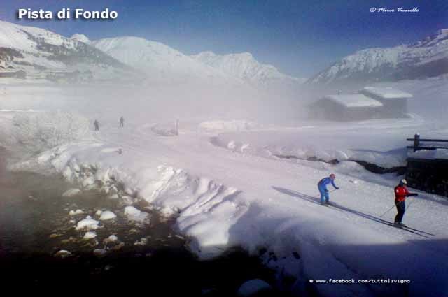 Livigno - pista per lo sci di fondo