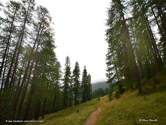 Vallle saliente - prima parte sentiero
