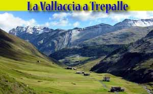La Vallaccia a Trepalle