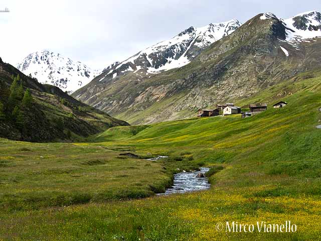 Vallaccia - Tipiche baite 