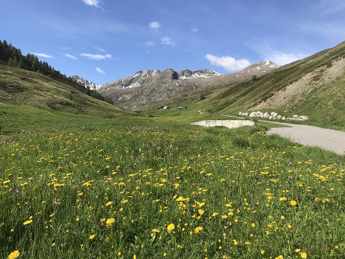 Vallaccia a Trepalle