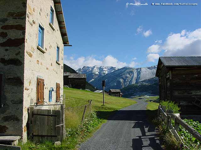 la strada di Vallaccia - Trepalle