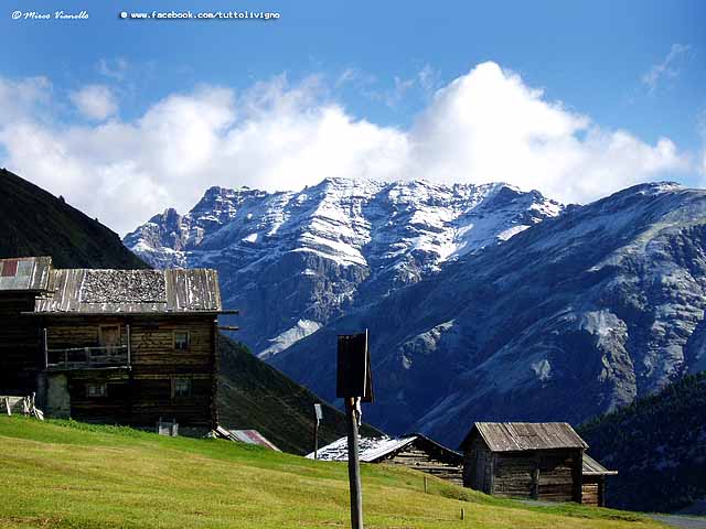 Vallaccia - Trepalle - Tee 