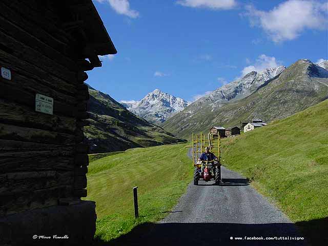 Un trattore in Vallaccia 
