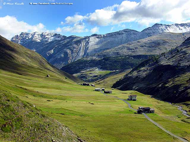 Vallaccia - Trepalle - Estate 