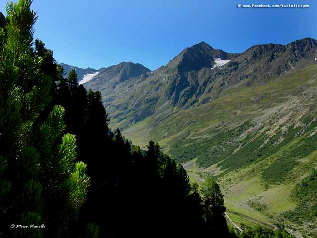 Valle delle Mine - veduta dalla salita per il Baitel dali fema Valle delle Mine salendo al Baitel dali Fema