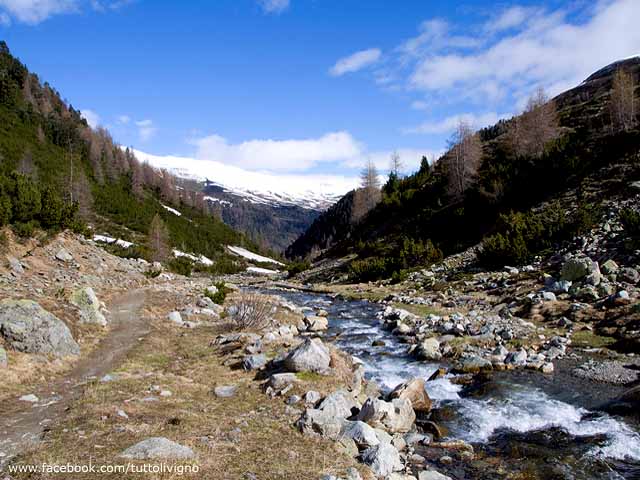 Valle delle Mine - il torrente delle Mine scende verso Livigno Valle delle Mine - Torrente
