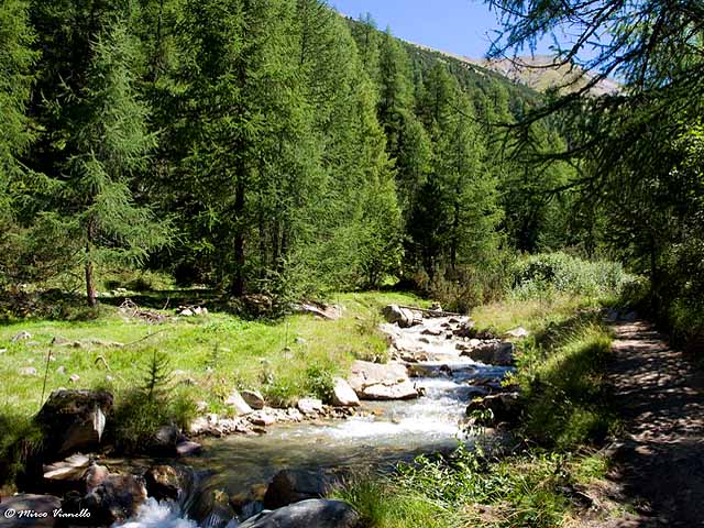 Valle delle Mine - il torrente all'imbocco della Valle Valle delle Mine - il torrente nel bosco