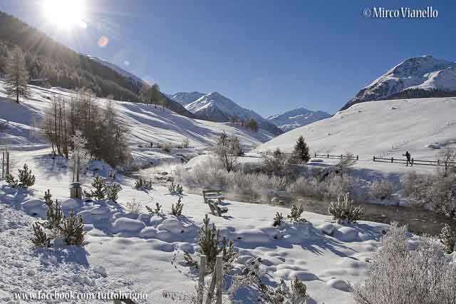 valle di Livigno - Lo Spoel inverno