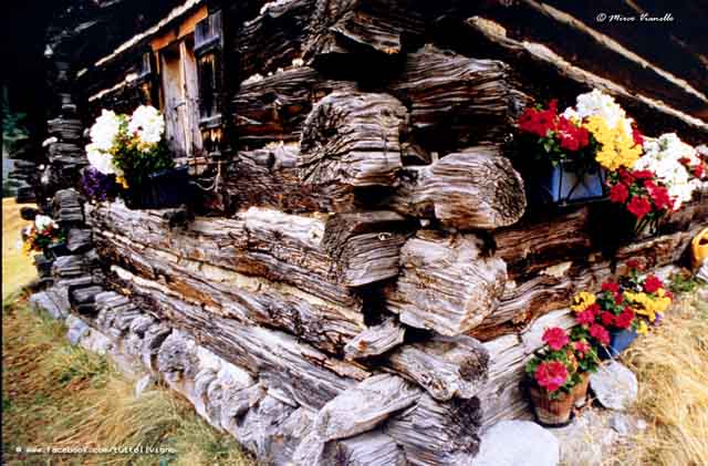 Particolare di una vecchia tea